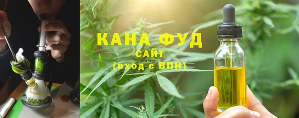 спайс Арсеньев
