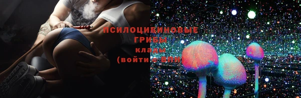 дживик Алексеевка