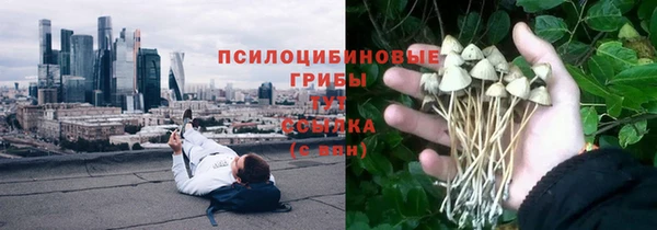 спайс Арсеньев