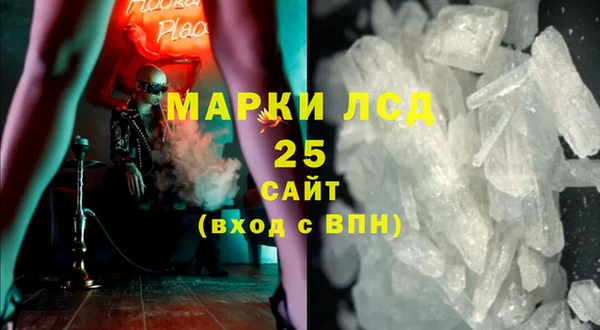 спайс Арсеньев